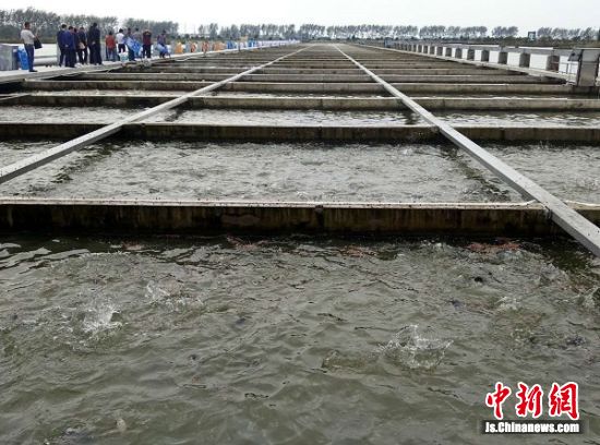中国大闸蟹产业高峰论坛在建湖举办 评选 中华