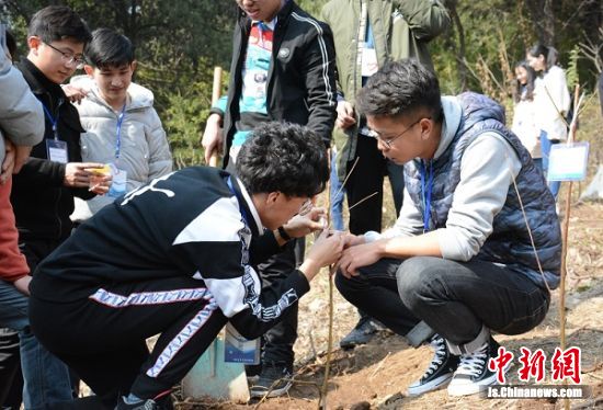 徐州市民携家带口上山植树 众多志愿者认养爱