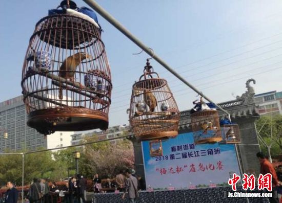 U359P5DT20180402100715.jpg