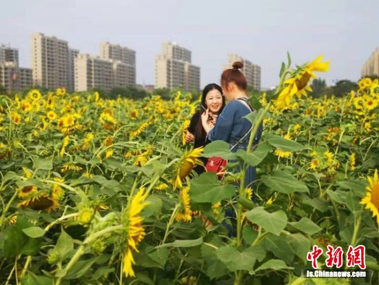 南通市港闸区经济总量_南通市港闸区沐淋酒店(3)