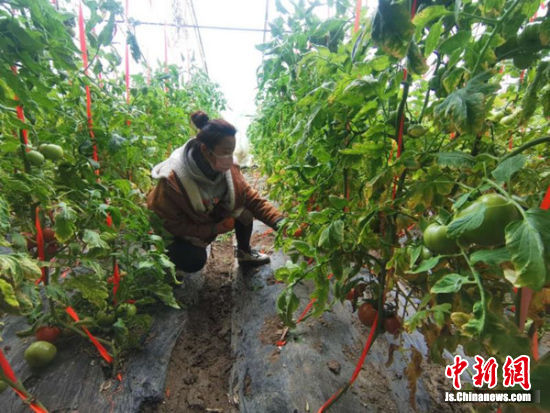 江苏沛县：“疫”行中追赶春天的脚步