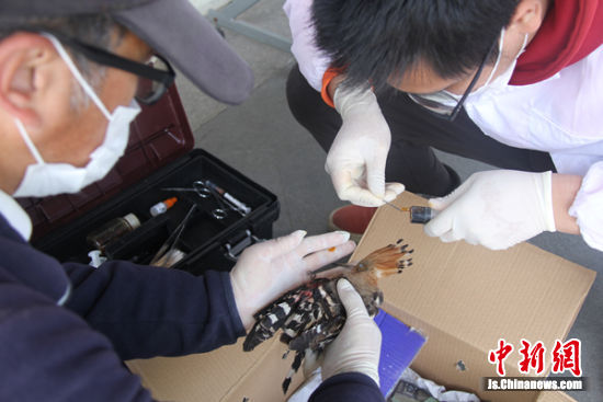 无锡动物园去年救助野生动物150余只