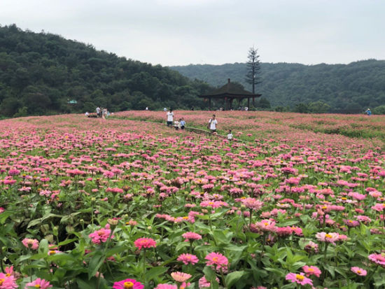 无锡太湖山水文化旅游节启幕 20余项系列活动出炉