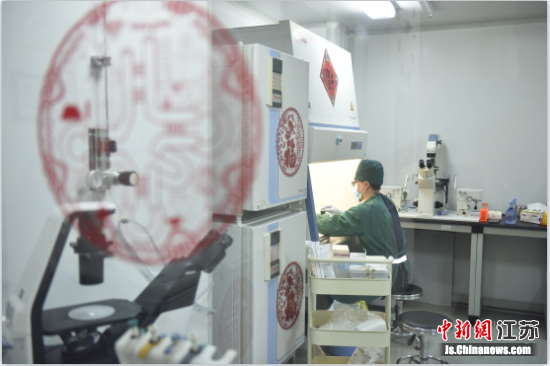 周帅目前主要在做关于卵母细胞向胚胎转换方面的实验,而对联里描述的体外受精实验是他实验中的一个基础环节。郭原君 摄 周帅目前主要在做关于卵母细胞向胚胎转换方面的实验,而对联里描述的体外受精实验是他实验中的一个基础环节。郭原君 摄