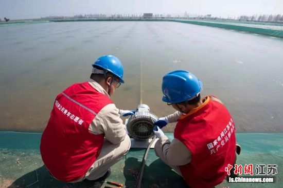供电部门的工作人员在施工现场。陈凯 摄 供电部门的工作人员在施工现场。陈凯 摄