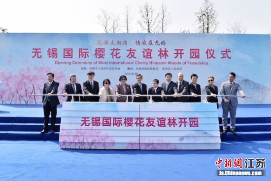 无锡国际樱花友谊林开园仪式。张园昀 摄 无锡国际樱花友谊林开园仪式。张园昀 摄