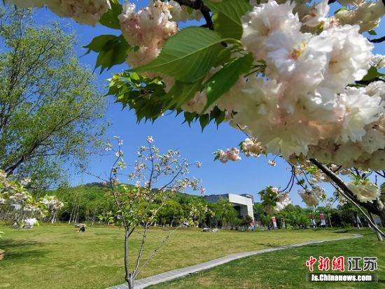 南京四方艺术湖区春日风景。葛勇 摄 南京四方艺术湖区春日风景。葛勇 摄