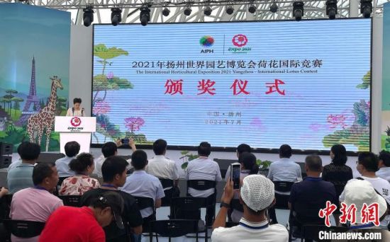 7月10日,扬州世园会荷花国际竞赛各奖项揭晓。 扬州世园会新闻中心供图 7月10日,扬州世园会荷花国际竞赛各奖项揭晓。 扬州世园会新闻中心供图