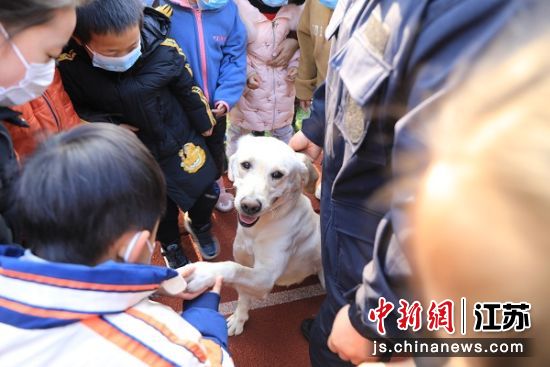 孩子们和警犬互动。亭湖警方供图 孩子们和警犬互动。亭湖警方供图