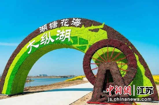 盐城大纵湖旅游度假区供图 盐城大纵湖旅游度假区供图