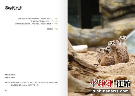 内页展示。南京红山森林动物园供图 内页展示。南京红山森林动物园供图