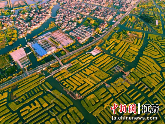 航拍兴化千垛菜花景区。兴化市文体广电和旅游局供图 航拍兴化千垛菜花景区。兴化市文体广电和旅游局供图