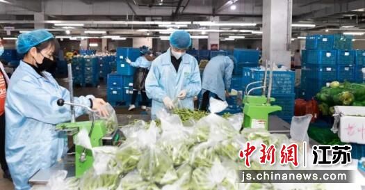 食行生鲜加大产力运力保供 苏州高新区工委宣传部供图 食行生鲜加大产力运力保供 苏州高新区工委宣传部供图