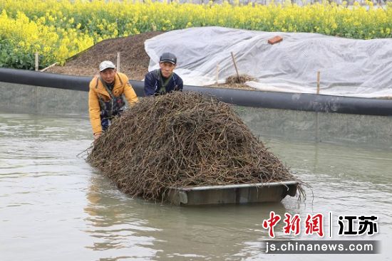投放蟹苗。 刘庆宝 摄 投放蟹苗。 刘庆宝 摄