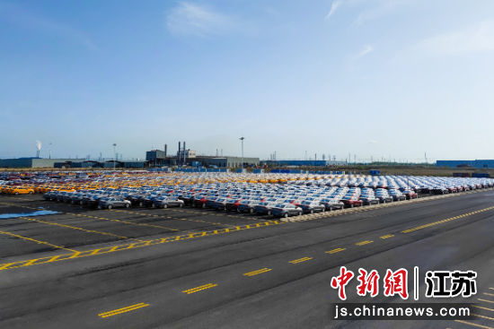 1376台悦达起亚汽车集结完毕,整装待发。 1376台悦达起亚汽车集结完毕,整装待发。