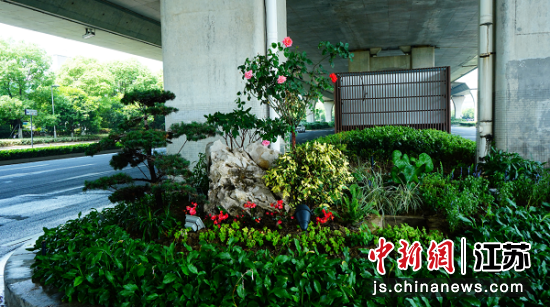 苏州高架桥下建起“城市公园” 枫桥街道供图 苏州高架桥下建起“城市公园” 枫桥街道供图