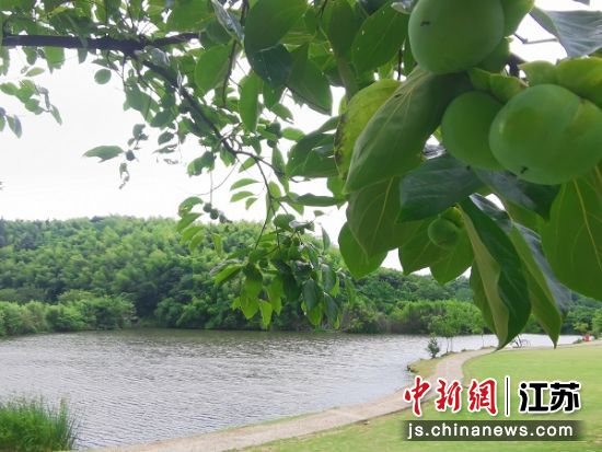 乡村风景。 葛勇 摄 乡村风景。 葛勇 摄