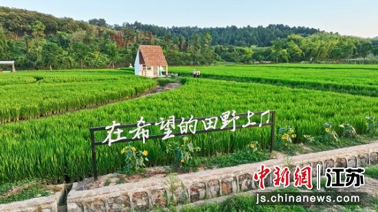 金坛美丽乡村。韩飞煜 摄 金坛美丽乡村。韩飞煜 摄