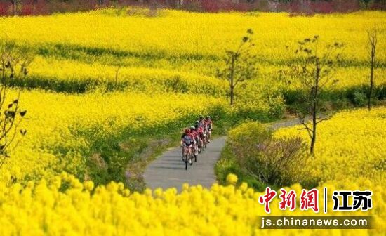 在金花旅游节(资料图) 。高淳区委宣传部 在金花旅游节(资料图) 。高淳区委宣传部