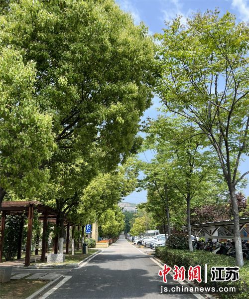 生态矿山环境优美。 生态矿山环境优美。