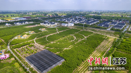 桑乐田园。彭岭 摄 桑乐田园。彭岭 摄