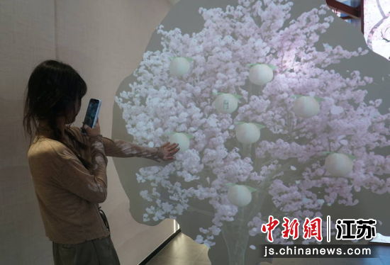 参观桃文化展示馆。孙权 摄 参观桃文化展示馆。孙权 摄
