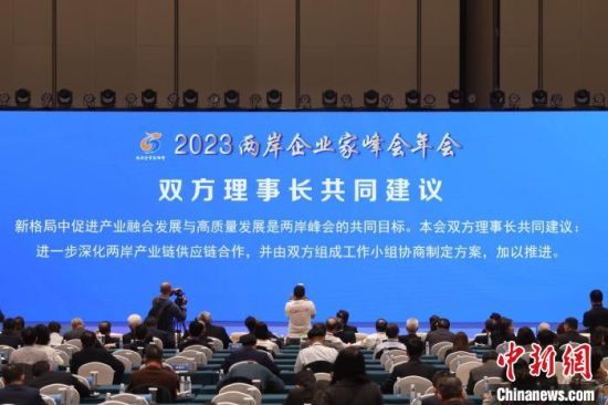 2023两岸企业家峰会年会在江苏南京落幕——我国新闻网