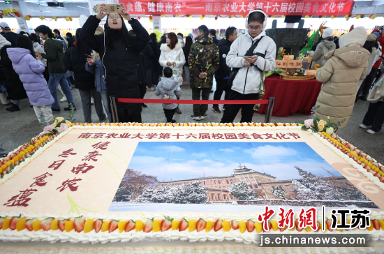南京农业大学第十六届学校美食文化节启幕——我国新闻网