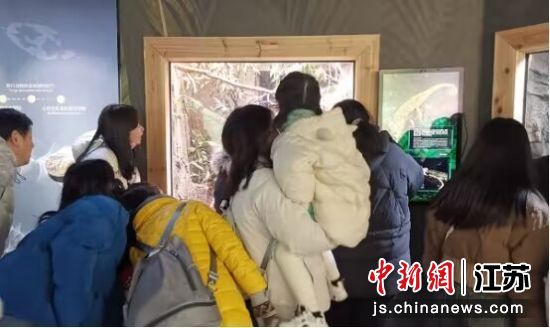 南京市红山森林动物园举行龙年属相文化节——我国新闻网