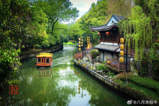 顾树荣 摄 顾树荣 摄