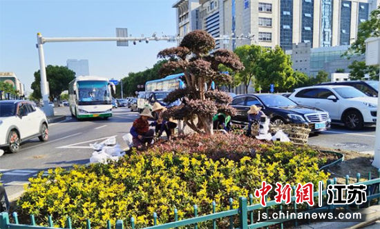 工作人员在街头整理绿色植物。南京江宁开发区供图 工作人员在街头整理绿色植物。南京江宁开发区供图