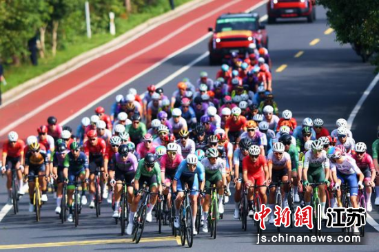 车手们在比赛中。环太湖国际公路自行车赛组委会供图 车手们在比赛中。环太湖国际公路自行车赛组委会供图