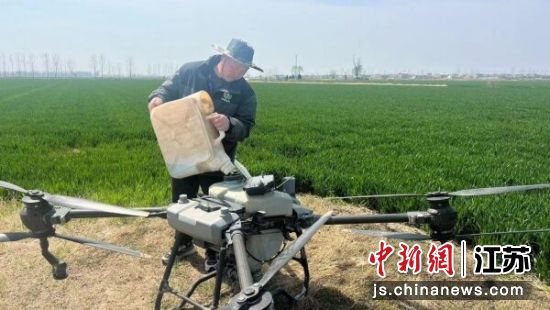 工作人员向无人机添加肥料。睢宁县融媒体中心供图 工作人员向无人机添加肥料。睢宁县融媒体中心供图