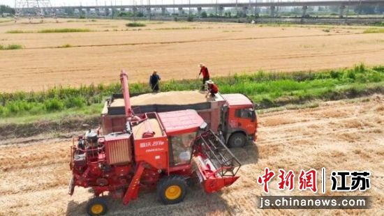 志愿者们帮助农户整理收仓。陈莉摄 志愿者们帮助农户整理收仓。陈莉摄