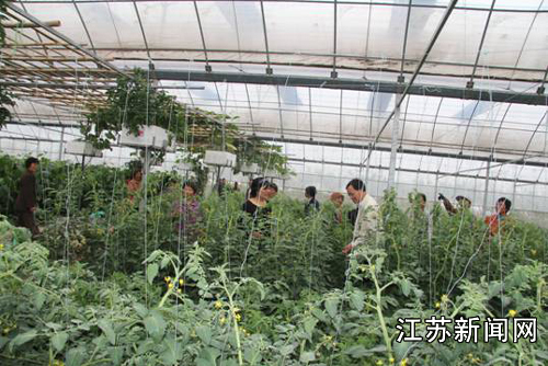 连云港市农干校2013年设施蔬菜种植培训班开