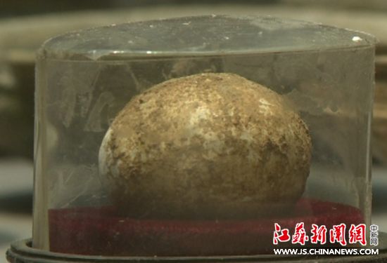 西周鸡蛋图片