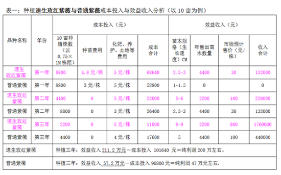 速生玫红紫薇种植可行性及成本效益分析--江苏