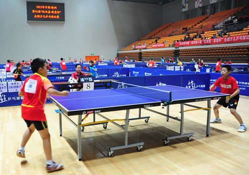 新星杯全国少儿乒乓球比赛在徐举行 --中国新